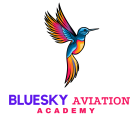 BlueSky Aviation Academy